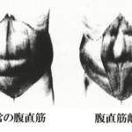【葛飾区金町のやぎはし整体院】腹直筋離開の治し方を実例をもとに詳しく紹介