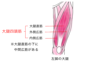 【葛飾区金町のやぎはし整体院】変形性膝関節症と大腿四頭筋の関係