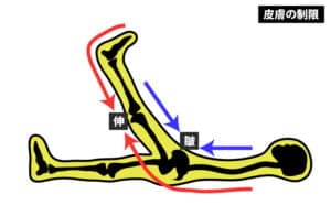 【葛飾区金町のやぎはし整体院】腰部調整は、皮膚の動きも重要！