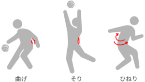 【葛飾区金町のやぎはし整体院】腰痛とバスケットボールの関係