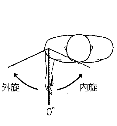 肩甲下筋の働き