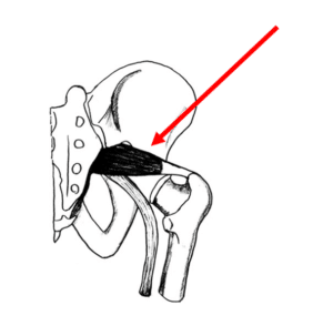 【葛飾区金町のやぎはし整体院】金町で「梨状筋症候群」専門の整体