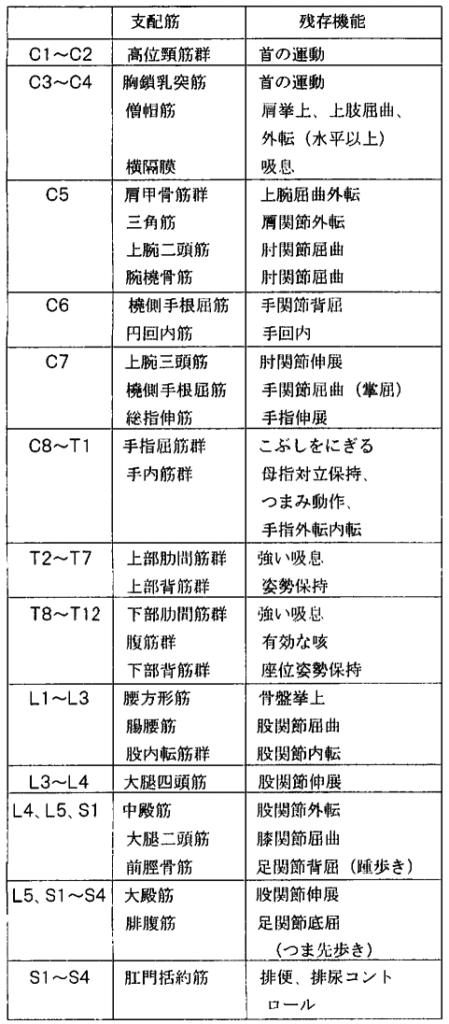 脊損ヘルスケア