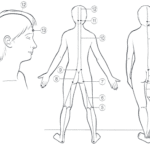 【葛飾区金町のやぎはし整体院】坐骨神経の整体は、筋膜を整える