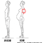 【葛飾区金町のやぎはし整体院】金町で産前・産後の「背中の痛み」専門の整体