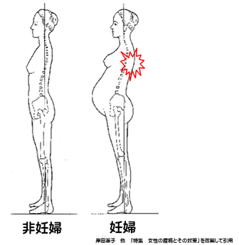 妊婦と非妊婦の違い