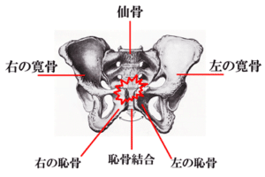 【葛飾区金町のやぎはし整体院】金町で産前・産後の「恥骨の痛み」専門の整体