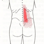 【葛飾区金町のやぎはし整体院】金町で「坐骨神経痛」専門の治療・整体