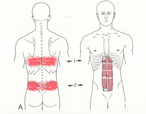 トリガーポイント