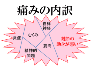 【葛飾区金町のやぎはし整体院】関節運動が乱れると、腰痛が生じやすい
