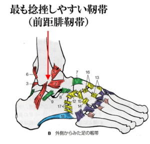 【葛飾区金町のやぎはし整体院】足首の捻挫