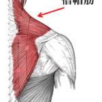 【葛飾区金町のやぎはし整体院】金町で頭痛専門の整体