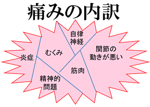 痛みの内訳