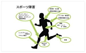 【葛飾区金町のやぎはし整体院】なぜ、スポーツ障害は再発するの？