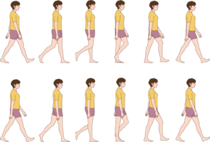 【葛飾区金町のやぎはし整体院】ひざの整体　歩き方を正常化する！！
