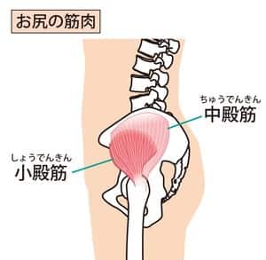 【葛飾区金町のやぎはし整体院】大腿骨大転子疼痛症候群の整体(薬を使わず、手術なしで治す方法)