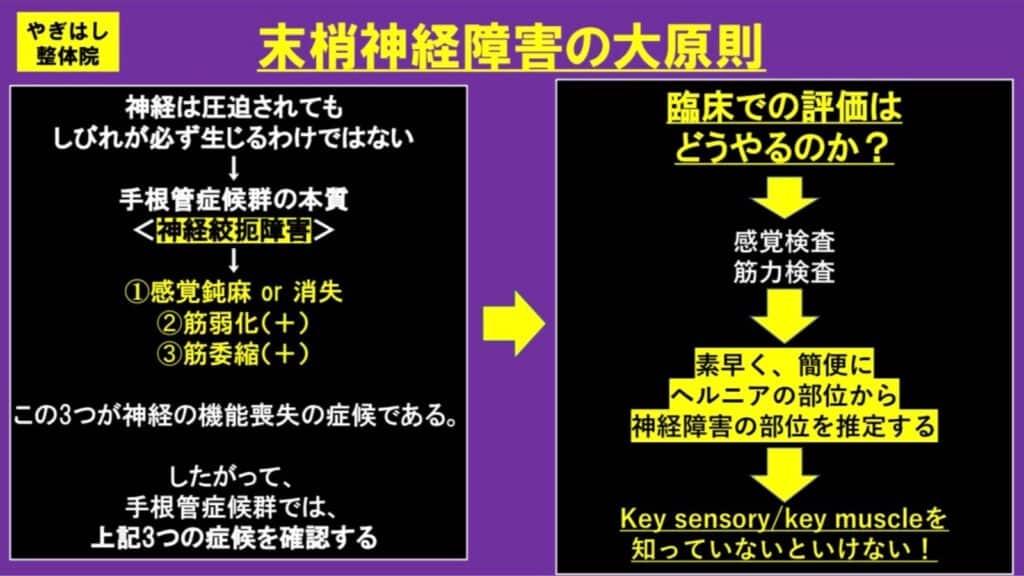 ヘルニアの検査２