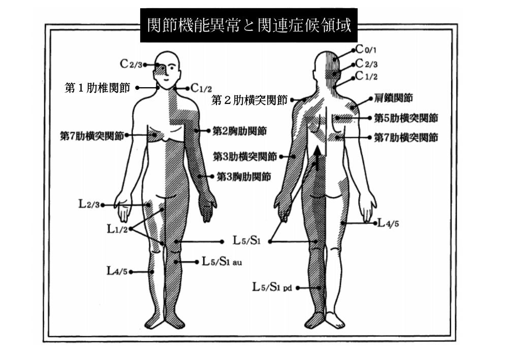 関連症候図：SJF学会