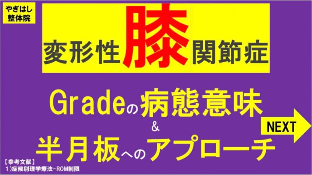 膝の痛み：半月板の治療