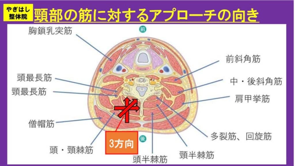 首の筋肉への治療２