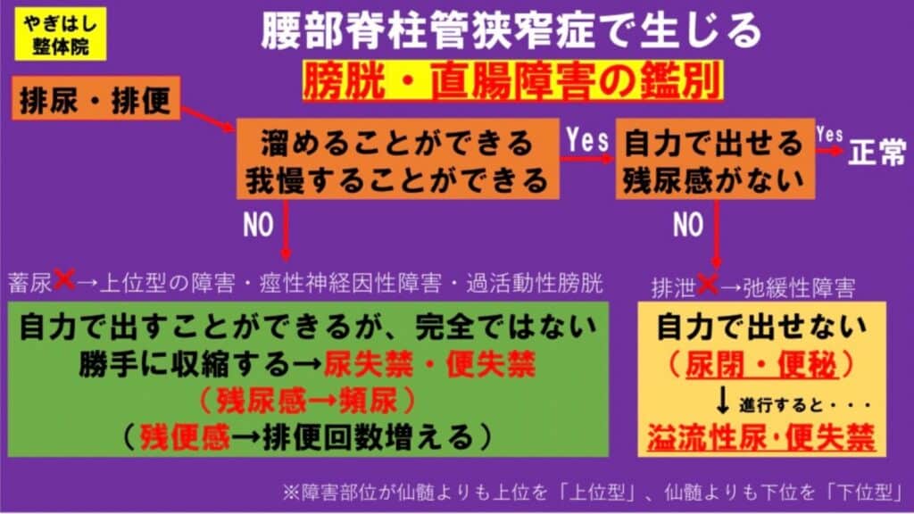 脊柱管狭窄症：排便排尿障害3