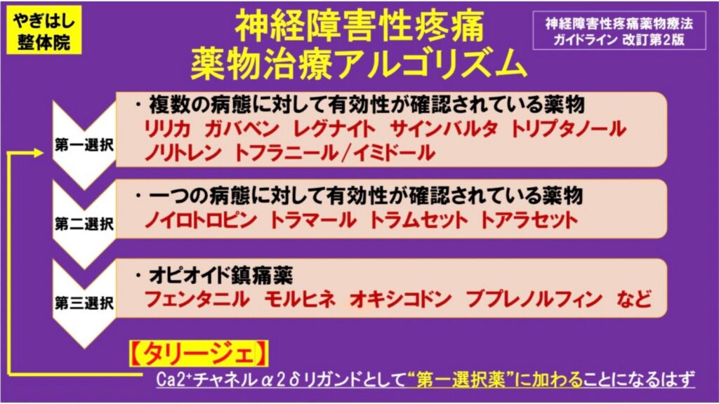 リリカとタリージェの違い２