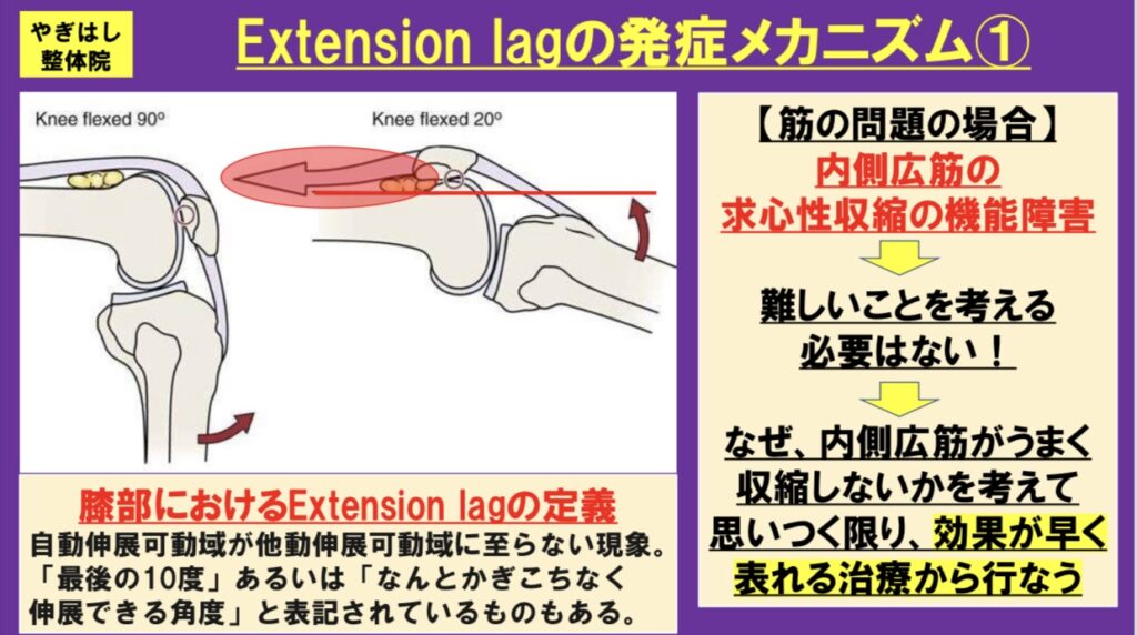 エクステンションラグの治療