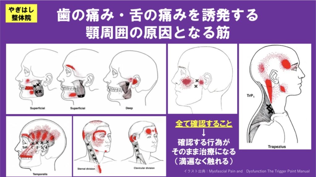 顎の治療・整体