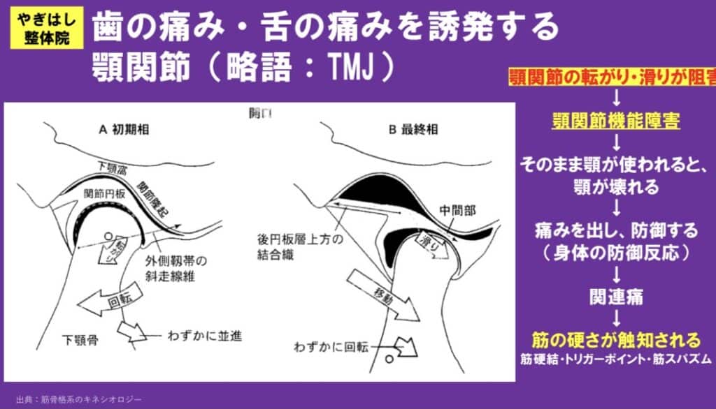 顎の治療・整体