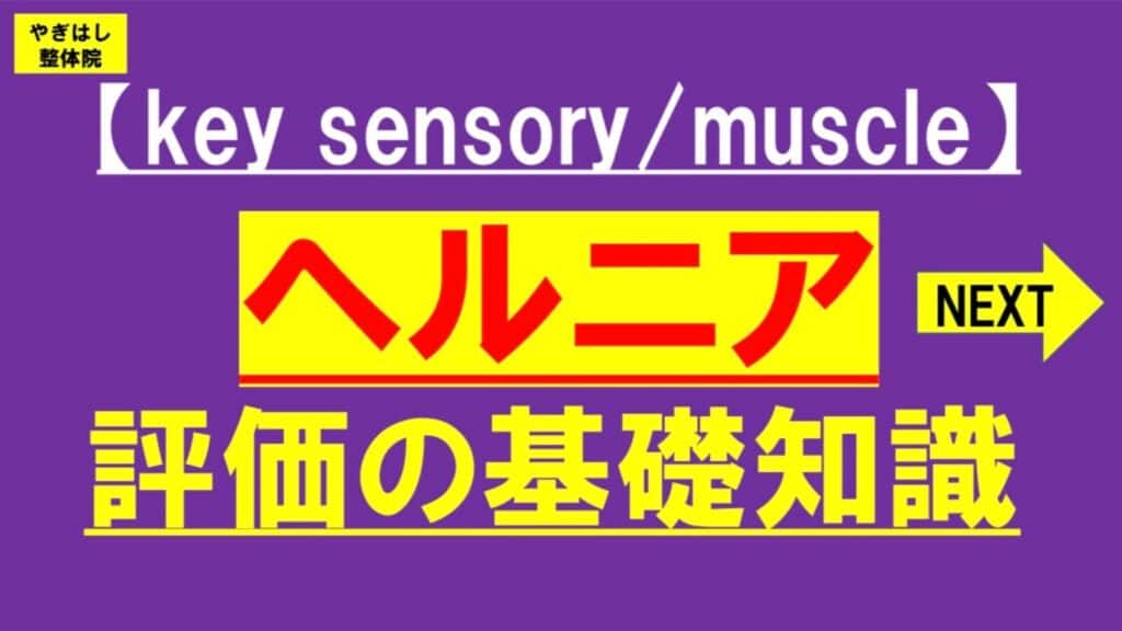 ヘルニアの検査