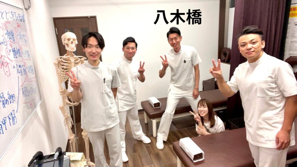 柏市やぎはし整体院:研修会