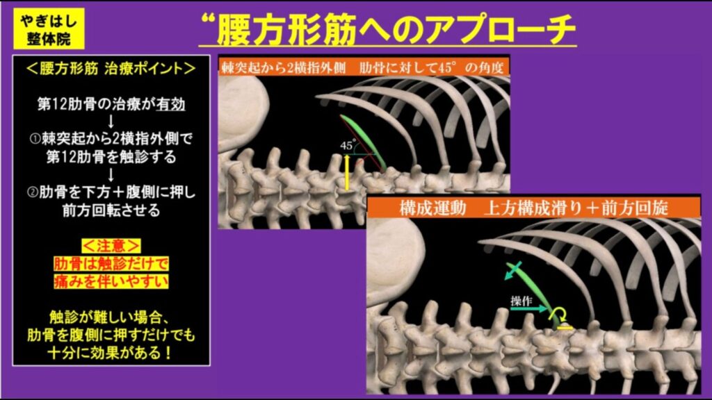 腰方形筋の治療１