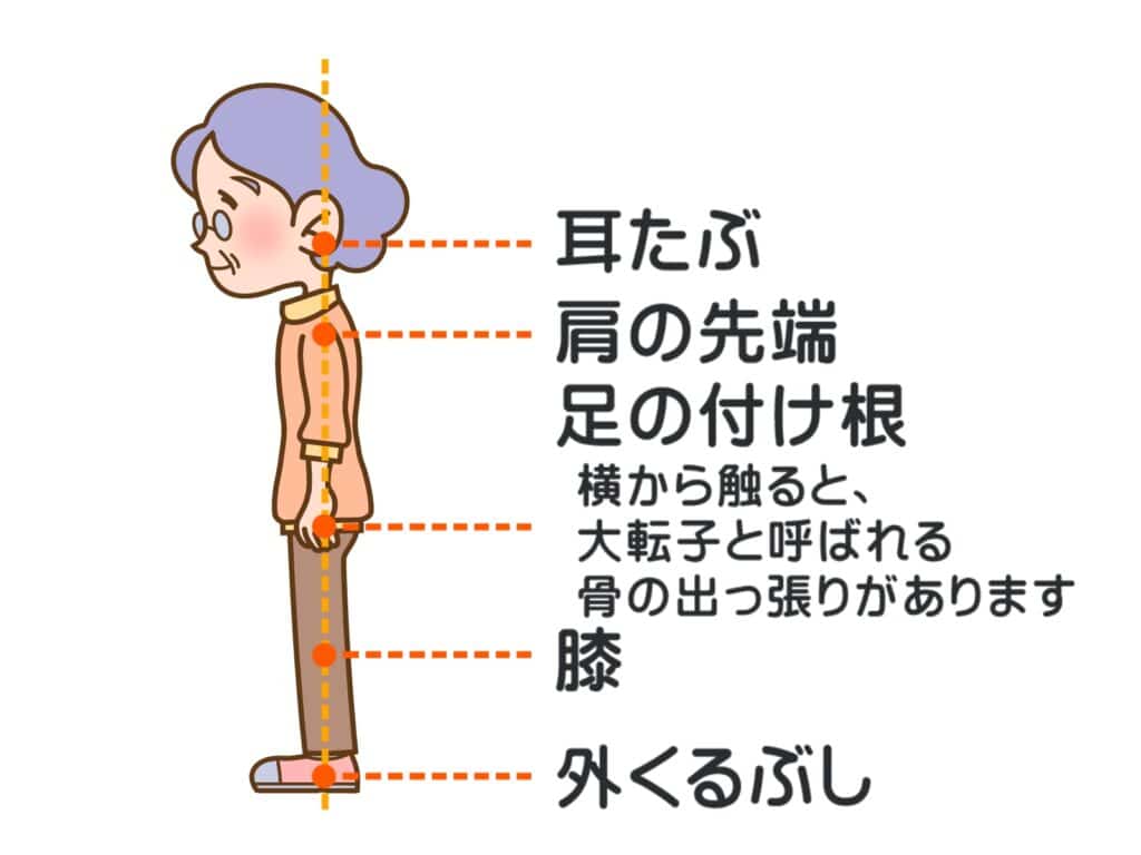 【金町で唯一の首特化整体師が解説】「姿勢を正しくすること」は首にいいのか?