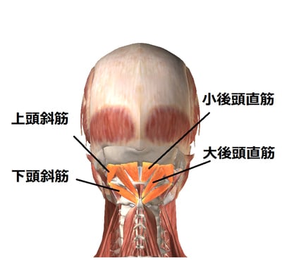 【金町のオススメNo.1の整体院が解説】頭痛にも種類があることを知ってますか?