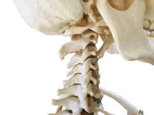 【金町の凄腕整体院が解説！】ストレートネックで全身に起こること