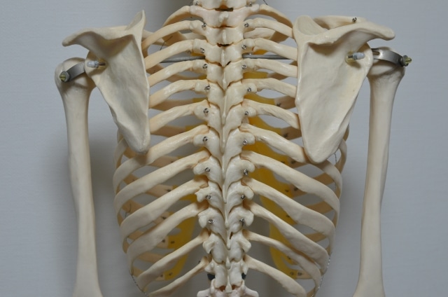 【葛飾区金町のやぎはし整体院】上を向くと痛いはどこが原因？対処法は？首痛専門整体院が解説！