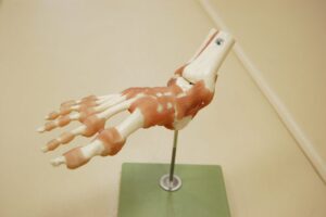 【金町のやぎはし整体院】足首が痛い原因